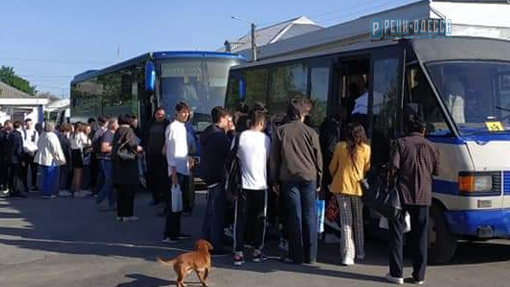 автобусы и дети, молодые люди